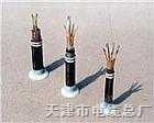 电缆， MHYVR MHYVRP 1×2×7/0.28矿用通信电缆/