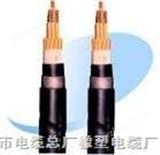 铜带屏蔽电缆（KVVP2电缆）