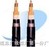 屏蔽电缆/屏蔽电力电缆 VVP22,VV22-P,ZRV 