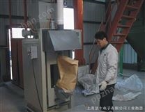 上海水泥包装机 阀口袋自动定量包装机 干粉砂浆包装机